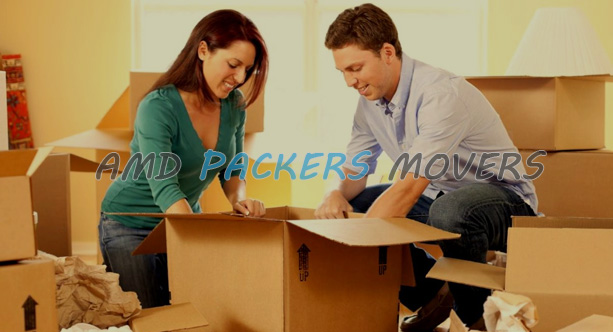 AMD Packers & Movers packing and moving work in Noida